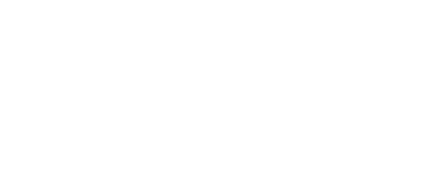 ASOT Logo